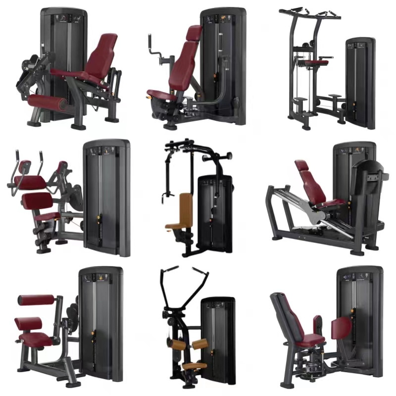 High Quality Commercial gym fitness equipment rotary torso machine abdominal trainer exercise torso rotation machine