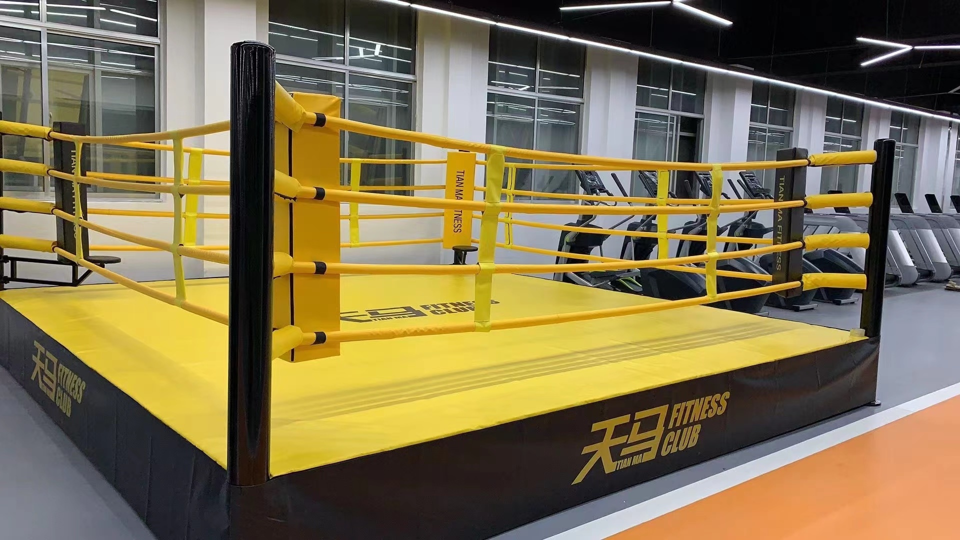 New style professional portable boxing championship floor rings or wrestling fighting folding boxing ring