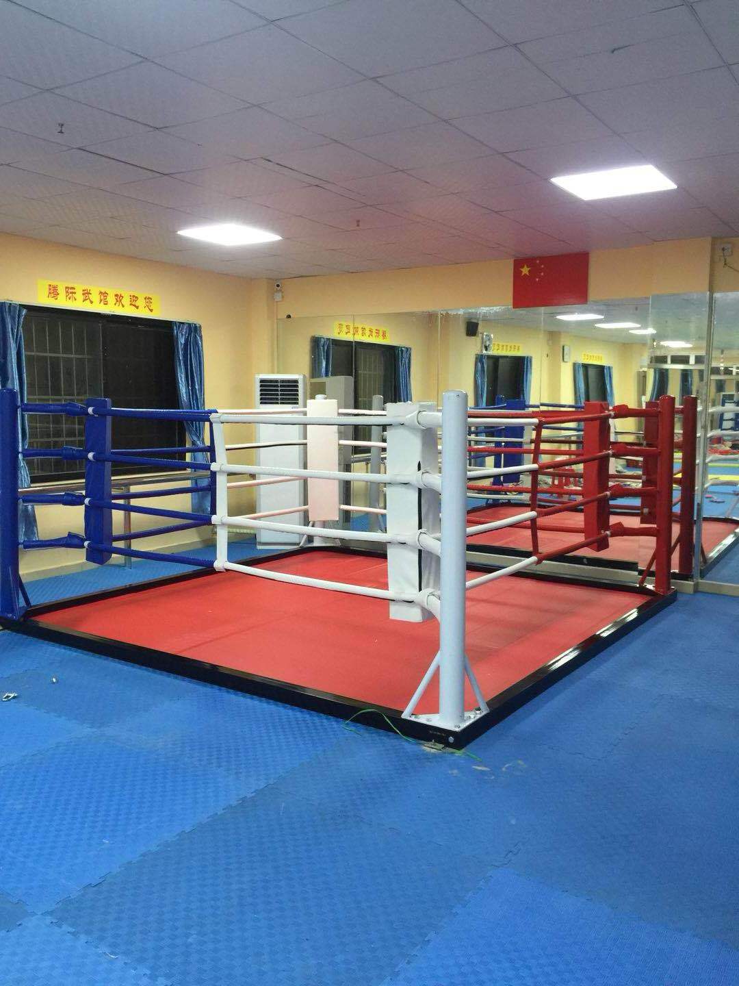 New style professional portable boxing championship floor rings or wrestling fighting folding boxing ring