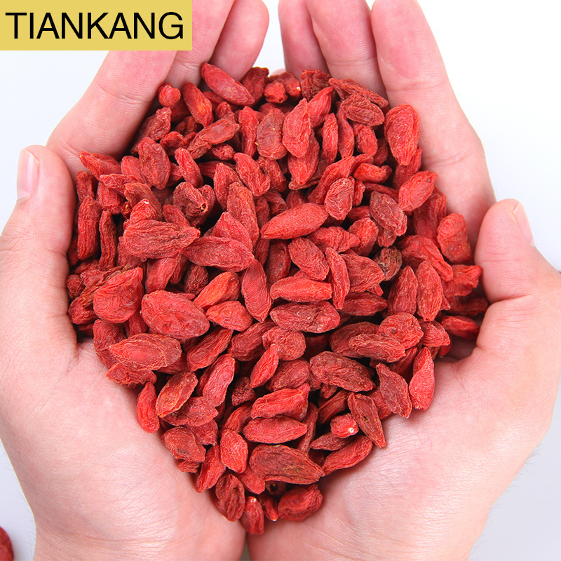 Hot Sale Natural Bulk Goji Berries Dried Bulk Goji Berry Dried Goji Berry Red wolfberry Fruit tea