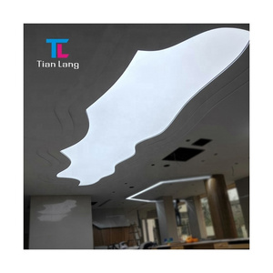 soft film white transparent uv luminous customized special-shaped ceiling light box