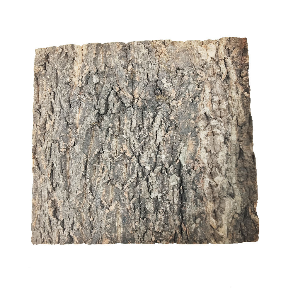 TIANLEICORK Factory Wholesale Natural Amur Extract Wall Accents Cork Tree Bark Tiles for Interior Wall Decoration