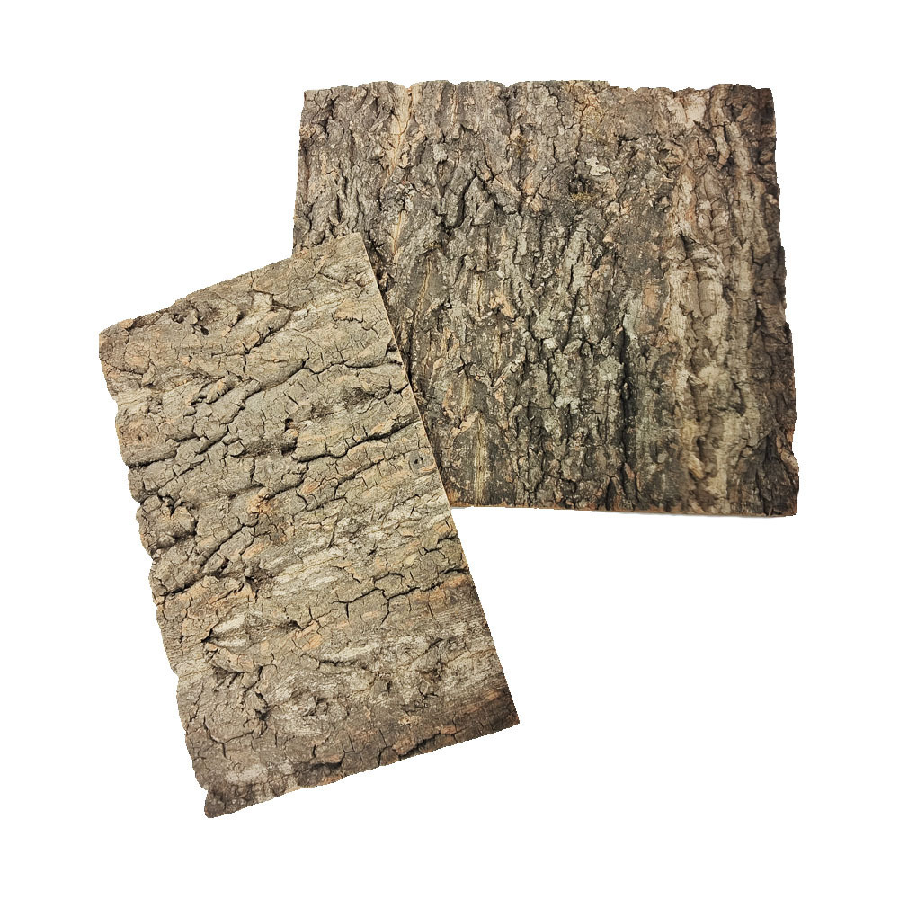 TIANLEICORK Factory Wholesale Natural Amur Extract Wall Accents Cork Tree Bark Tiles for Interior Wall Decoration