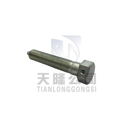 Customized Stainless Hex Head Bolts with Wire Holes Premium Bolts Product