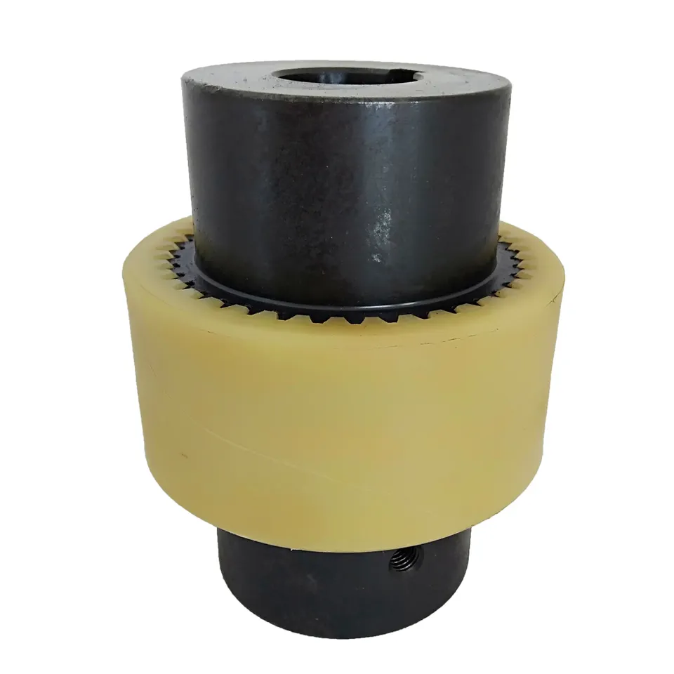 NL5 NL10 Nylon Gear Coupling NL Flexible Shaft Coupling with Pinion