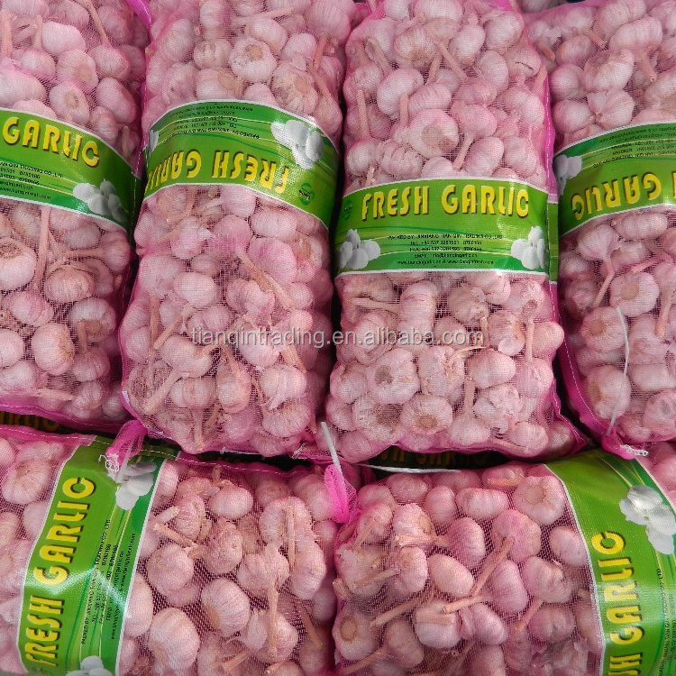 fresh garlic / Alho / Ajo /Ail of crop 2023 with factory price and wholesale price in China