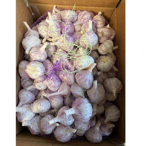 2023 Chinese Garlic Alho Ajo Ail at factory price