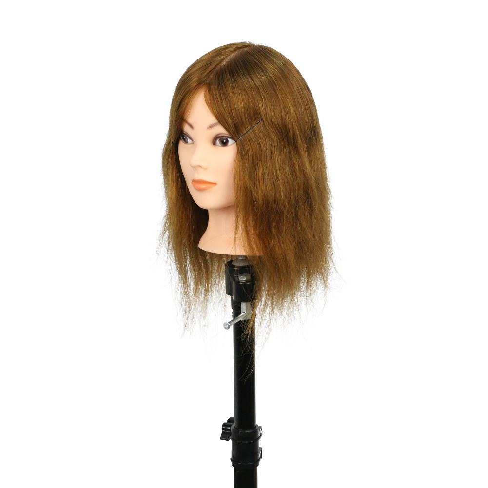 Top selling hair dressing headform 12inch 4# 100%human hair hairdressing afro training mannequin head