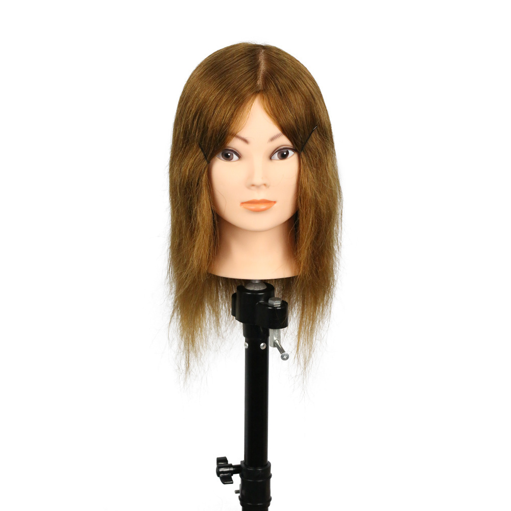 Top selling hair dressing headform 12inch 4# 100%human hair hairdressing afro training mannequin head