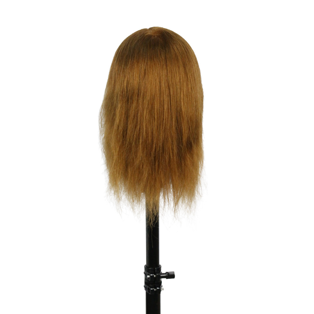 Top selling hair dressing headform 12inch 4# 100%human hair hairdressing afro training mannequin head