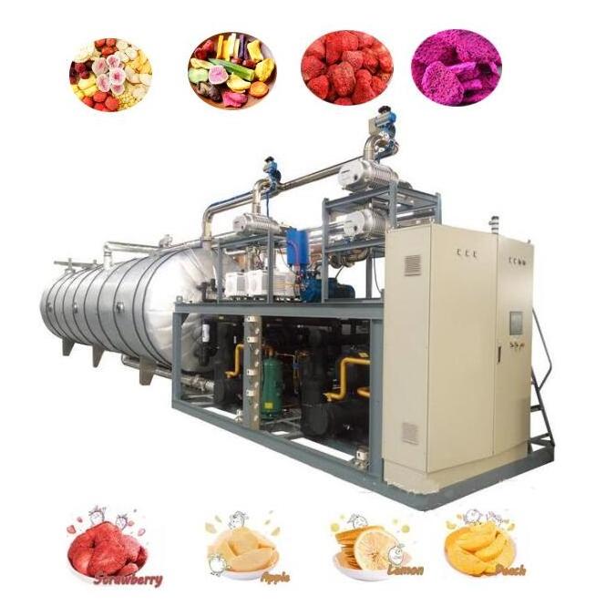 CE 500kg 1000kg Large Freeze Dried Meat Pet Food Freeze Dryer Dried Candy Fruit Vacuum Herbs Lyophilizer Machine Industrial use