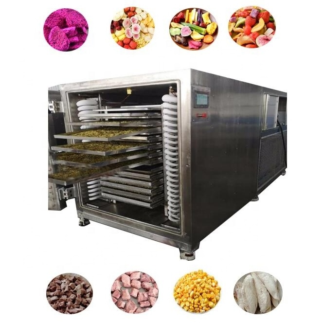 50kg small scale home Commercial Vacuum Food Harvest Right Spray Freeze Dryer Lyophilizer Machine For Sweets Sales Good Price