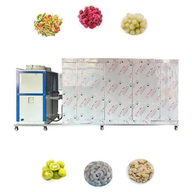 CE Certified 200kg Instant Quick Freezer Cabinet Blast Freezer Machine For Potato Frozen French Fries PLC controlled Industrial