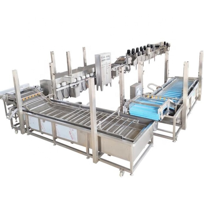 500~1000kg/hr Automatic IQF Frozen Sea Cucumber Making Machine Processing Production Line Industrial use