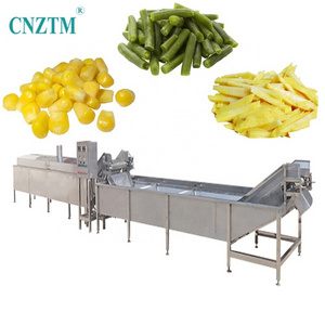 Industrial Automatic Vegetable Fruits Sweet Corn Eggplant Almond Apple Chili Mushroom Blanching Machine Washing and Drying Line