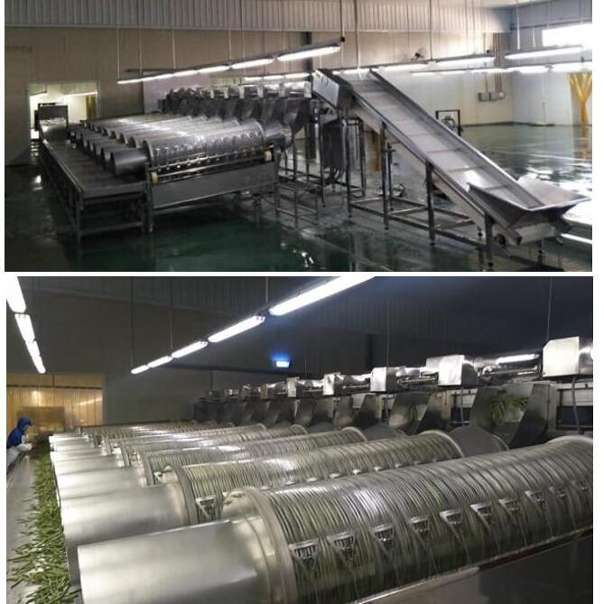 300~500kg/hr CE Certified Industrial Electric Green Beans Snipper Cutter Machine Beans Tails Snipping Cutting Slicing Machine