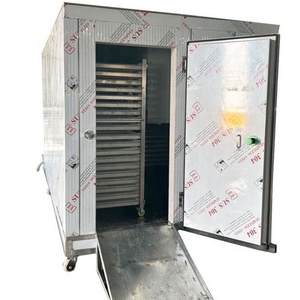 CE Certified 200kg Instant Quick Freezer Cabinet Blast Freezer Machine For Potato Frozen French Fries PLC controlled Industrial