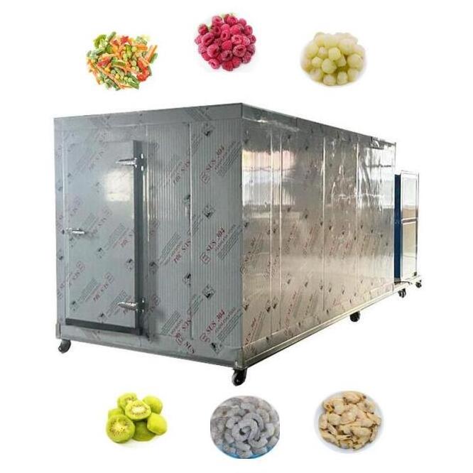 CE Certified 200kg Instant Quick Freezer Cabinet Blast Freezer Machine For Potato Frozen French Fries PLC controlled Industrial