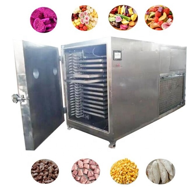 50kg small scale home Commercial Vacuum Food Harvest Right Spray Freeze Dryer Lyophilizer Machine For Sweets Sales Good Price