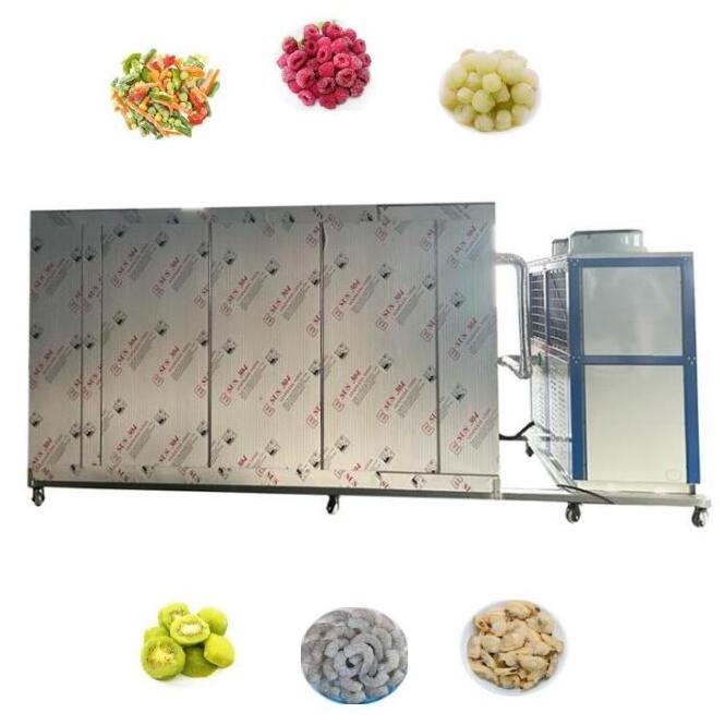 CE Certified 200kg Instant Quick Freezer Cabinet Blast Freezer Machine For Potato Frozen French Fries PLC controlled Industrial