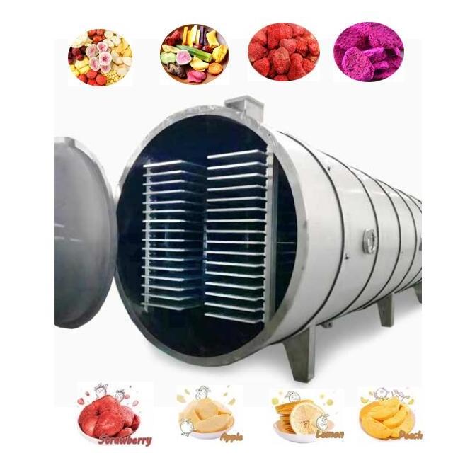 CE 500kg 1000kg Large Freeze Dried Meat Pet Food Freeze Dryer Dried Candy Fruit Vacuum Herbs Lyophilizer Machine Industrial use