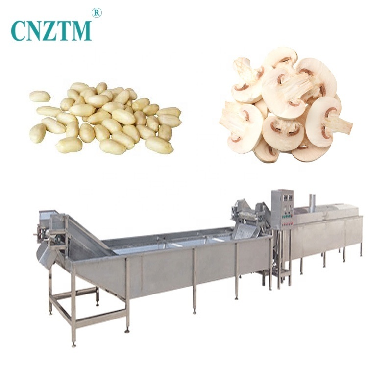 Fresh Food Processing Steam Vegetable Fruit Blanching Machine Peanut Chicken Feet For Pre-cooking  blanching machine