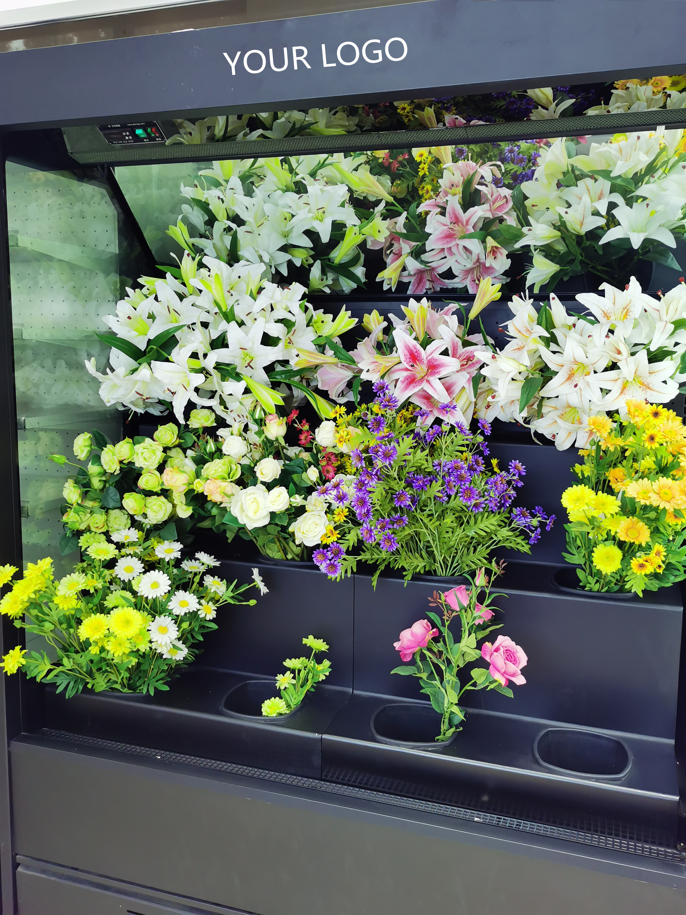 Flower Display Cooler Refrigerator Fresh Keeping Chiller with Glass Door for Florist