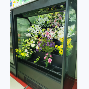 Flower Display Cooler Refrigerator Fresh Keeping Chiller with Glass Door for Florist