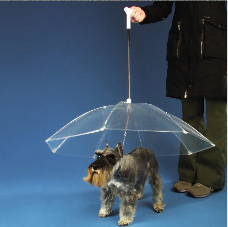 2021 New Design High Quality Folding Manual  transparent Pet Umbrella For  small Dog  Outdoor