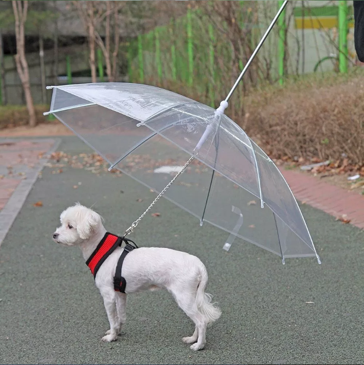 2021 New Design High Quality Folding Manual  transparent Pet Umbrella For  small Dog  Outdoor