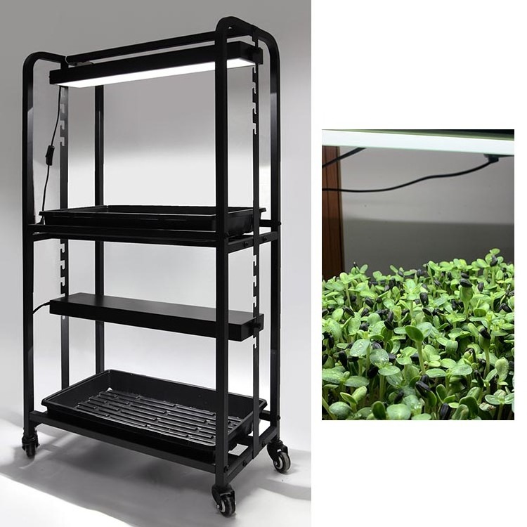 Indoor Garden System Home Growing Flower Pot Stand Vegetables Plant Microgreen Shelf LED Grow Rack with Light