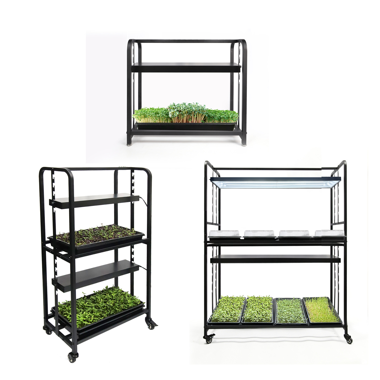 Indoor Garden System Home Growing Flower Pot Stand Vegetables Plant Microgreen Shelf LED Grow Rack with Light