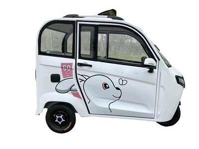 Wheel Motorcycle with Oassenger Seat Taxi Tricycles  Passenger Enclosed Cabin 3  Wheel Electric Scooter 60V Closed Eec