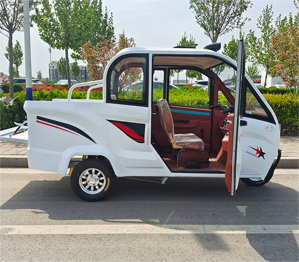 China Motor high powerful motorized tricycles gasoline 200cc passenger tricycle with open closed body cargo box