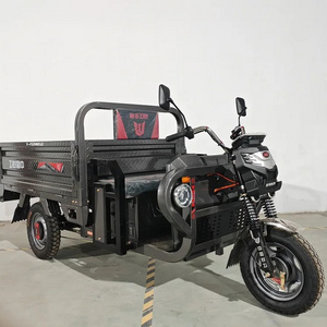 Three Wheel Electric Scooter 1000w Motorcycle Express Moped Cargo Vehicle Tricycles