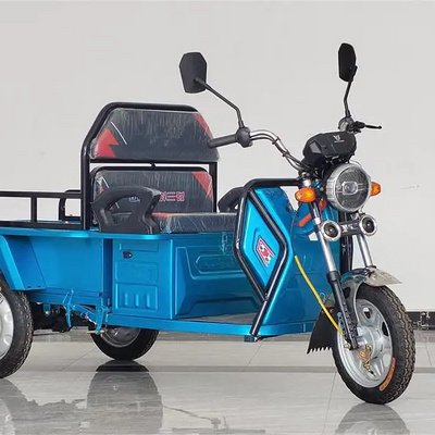 Adults e trike 3 Wheel Cargo Bike Passenger Motorcycle