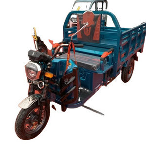 2024  Hot Sale New Type Motorized Auto Rickshaw Three Wheel Electric Tricycles for Cargo