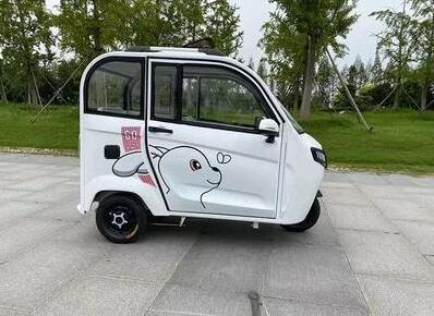 Wheel Motorcycle with Oassenger Seat Taxi Tricycles  Passenger Enclosed Cabin 3  Wheel Electric Scooter 60V Closed Eec