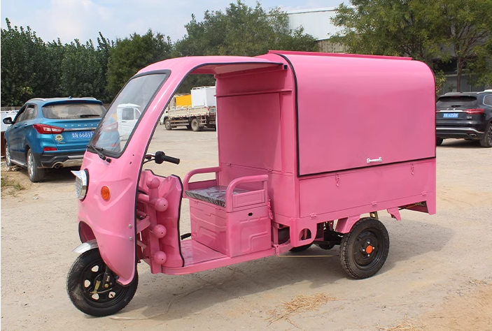 Express delivery Cargo Trike adult tricycle motorized tricycles electric tricycles new asia auto rickshaw price in pakistan