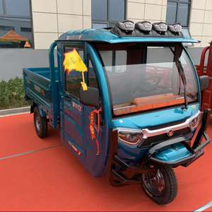 TIANYING good quality enclosed electric tricycle for adults Nigeria Cargo Tricycle electric tricycle electric scooter cargo bike