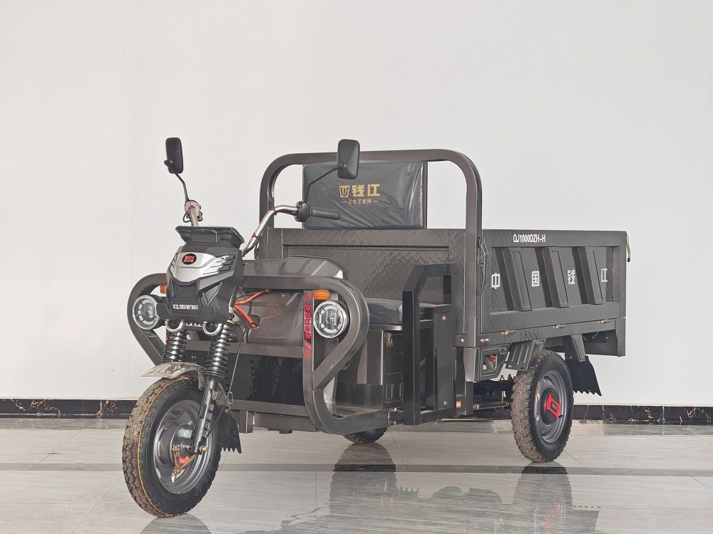 Three Wheel Electric Scooter 1000w Motorcycle Express Moped Cargo Vehicle Tricycles