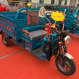 2020 Hot selling chang li motorized tricycles electric tricycle van truck cargo tricycle