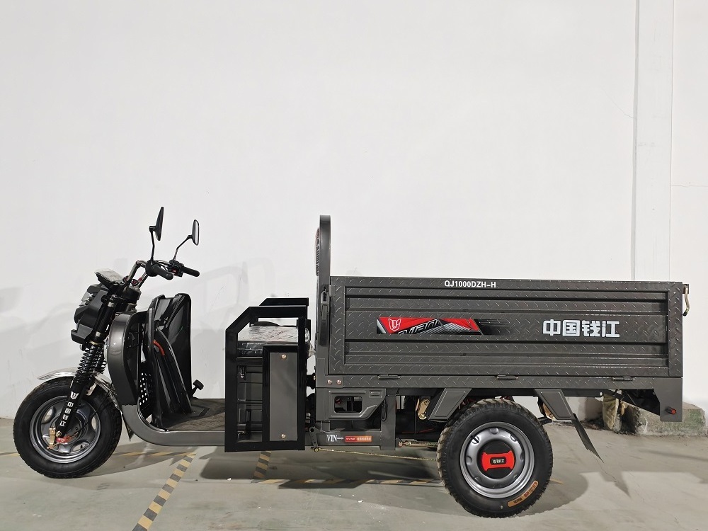 Three Wheel Electric Scooter 1000w Motorcycle Express Moped Cargo Vehicle Tricycles