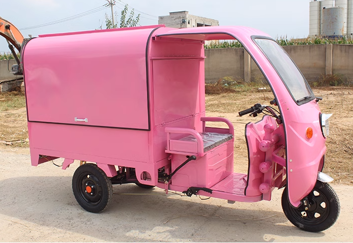 Express delivery Cargo Trike adult tricycle motorized tricycles electric tricycles new asia auto rickshaw price in pakistan