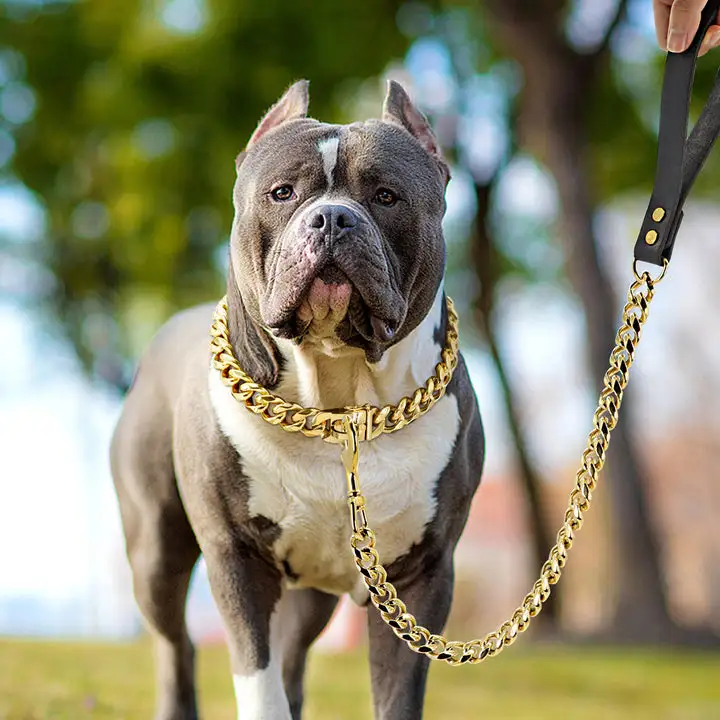 PNB Strong Metal Dog Chain Collars Stainless Steel Pet Training Choke Collar For Large Dogs Pitbull Bulldog Silver Gold Collar