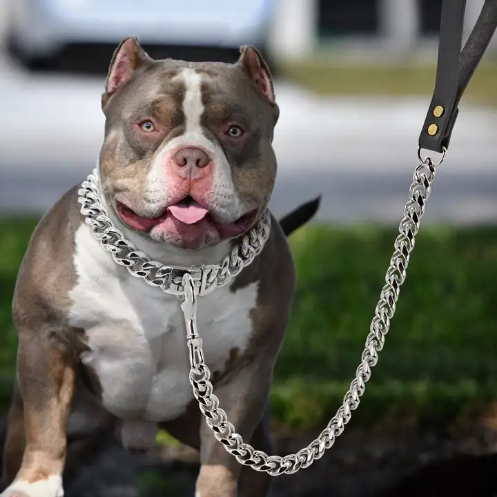 PNB Strong Metal Dog Chain Collars Stainless Steel Pet Training Choke Collar For Large Dogs Pitbull Bulldog Silver Gold Collar