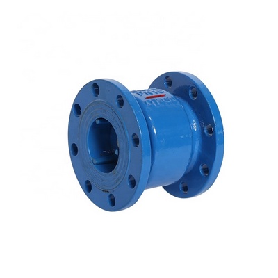 Factory Sale Ductile Iron GGG40 Pn16 DN100 Flange Silent Check Valve