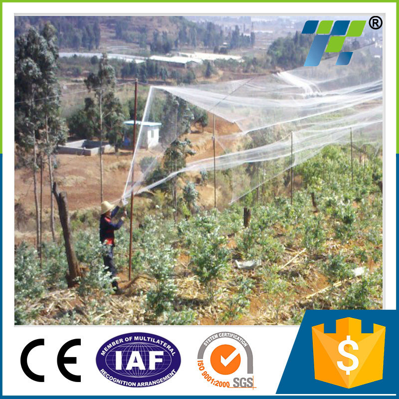 Hot Sales HDPE Long Life Agricultural Bird Netting