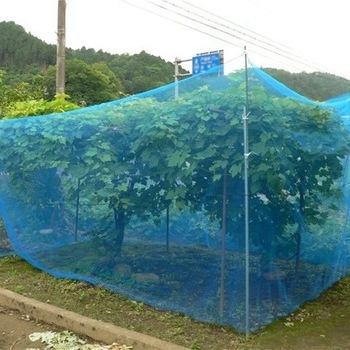 Hot Sales HDPE Long Life Agricultural Bird Netting