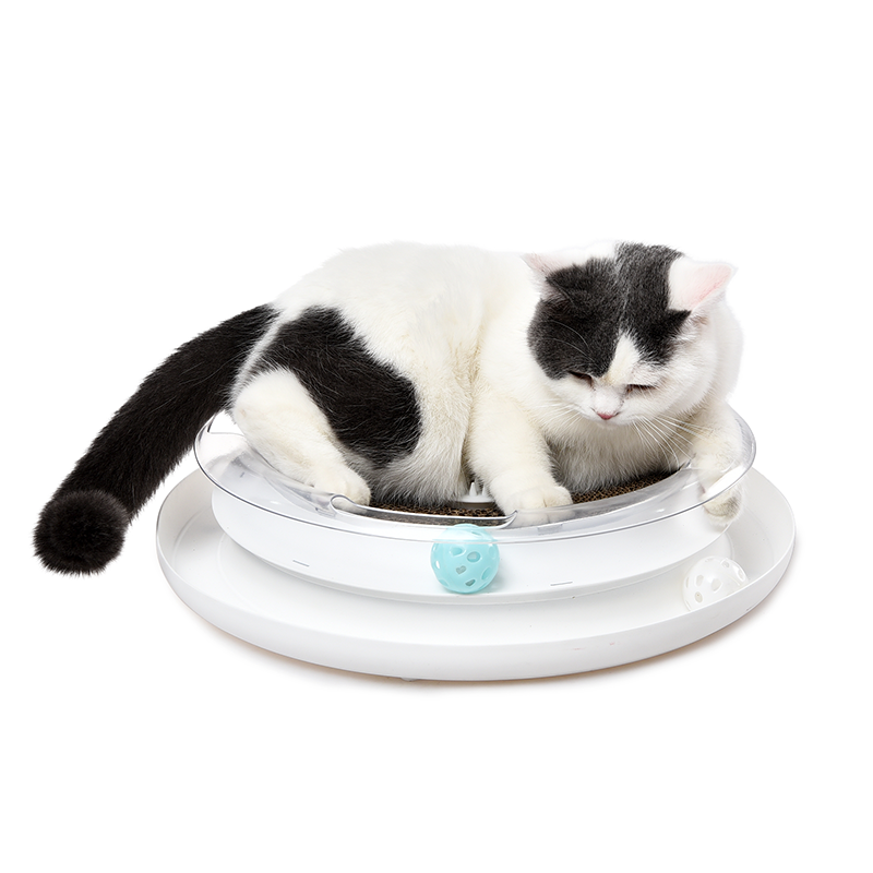 4 In 1 Pet Kitty Resting And Play Place Interactive Cat Scratcher & Circular Track Toy With Self-Scratch